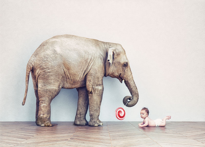 elefant-baby-bodenbelastung